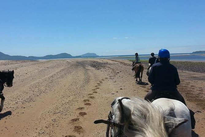 Killarney National Park Horseback Ride. Co Kerry. Guided. 2 hours. - Should you book the Killarney horseback ride?