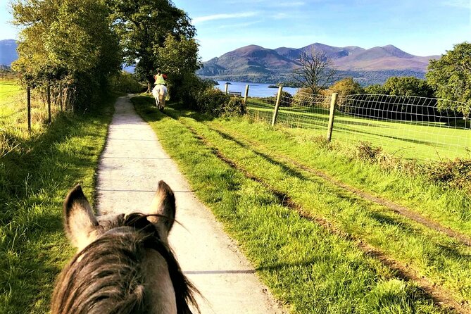 Killarney National Park Horseback Ride. Co Kerry. Guided. 3 hours. - Three hours or a shorter ride?