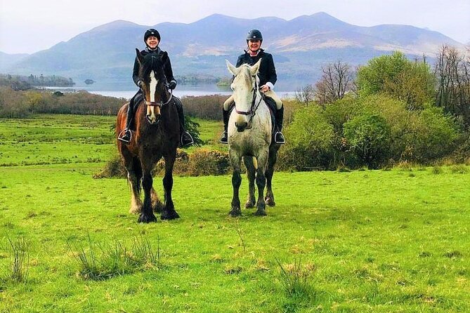 Killarney National Park Horseback Ride. Co Kerry. Guided. 3 hours. - Is $282.97 good value?