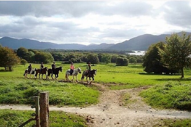 Killarney National Park Horseback Ride. Co Kerry. Guided. 3 hours. - Weather, cancellations, and practical limits