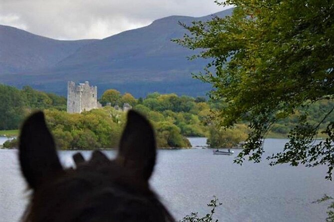 Killarney National Park Horseback Ride. Co Kerry. Guided. 3 hours. - Who will enjoy this ride most?