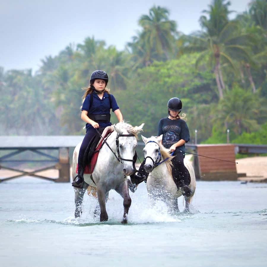 Koh Samui Horse Riding & Beach Trails - What the one-hour ride really includes
