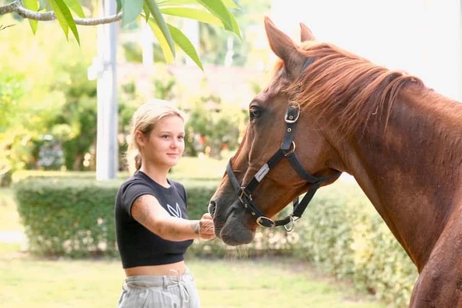 Koh Samui Horse Riding & Beach Trails - Help for children and nervous riders