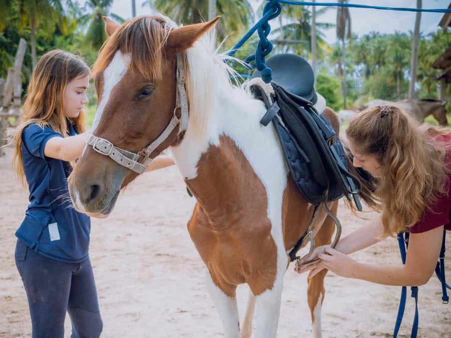 Koh Samui Horse Riding & Beach Trails - Safety is part of the experience