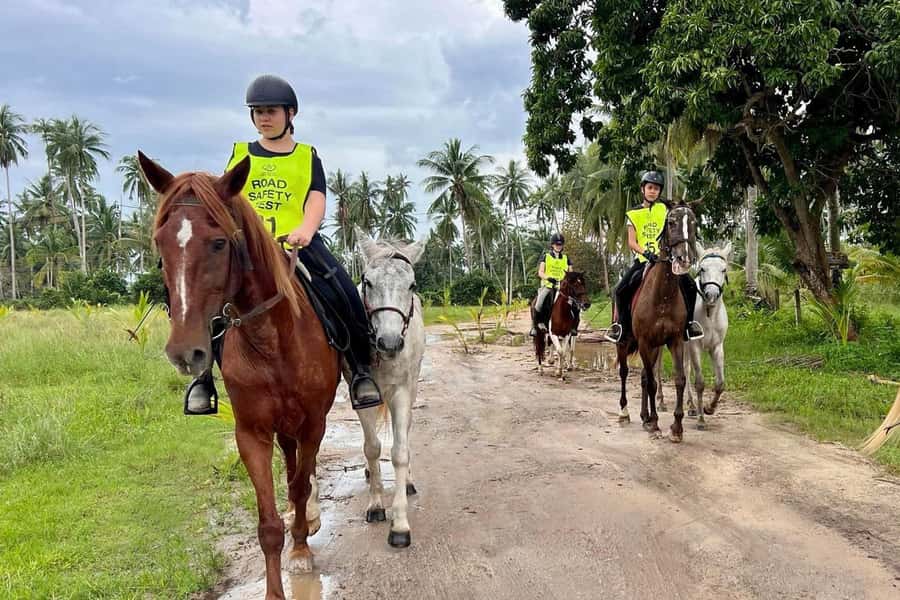 Koh Samui Horse Riding & Beach Trails - How the $79 price measures up