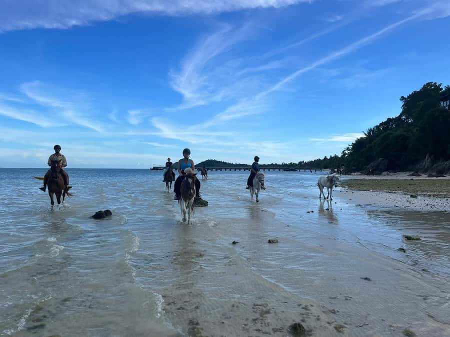 Koh Samui Horse Riding & Beach Trails - Who will enjoy this most