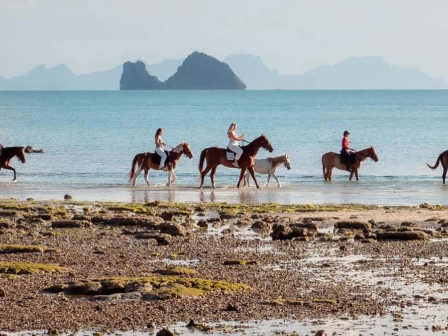 Koh Samui Horse Riding & Beach Trails - Sunrise at 7:00 a.m. or sunset at 5:00 p.m.