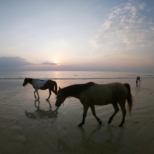 Koh Samui: Sunset Trail Horse Riding on The Beach - Starting among Koh Samui’s tropical gardens
