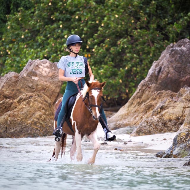 Koh Samui: Sunset Trail Horse Riding on The Beach - How much value do you get for $103?
