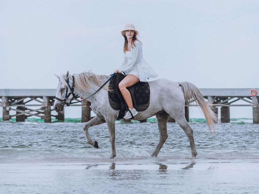 Koh Samui: Sunset Trail Horse Riding on The Beach - Families, couples, and solo riders