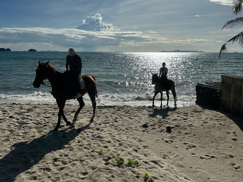 Koh Samui: Sunset Trail Horse Riding on The Beach - The strongest parts of the experience
