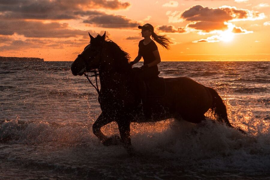 Kos: Horse Riding Experience on the Beach with Instructor - From Tigaki Salt Lake to the Aegean Shore