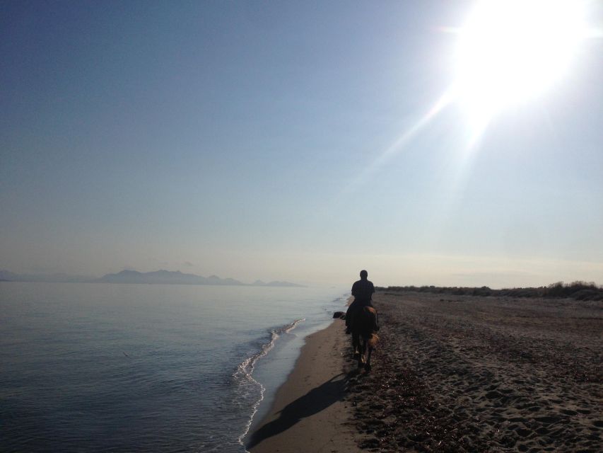 Kos: Horse Riding Experience on the Beach with Instructor - The Beach, Dunes, and Photo Stop