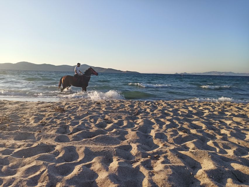 Kos: Horse Riding Experience on the Beach with Instructor - Is $88 Good Value?