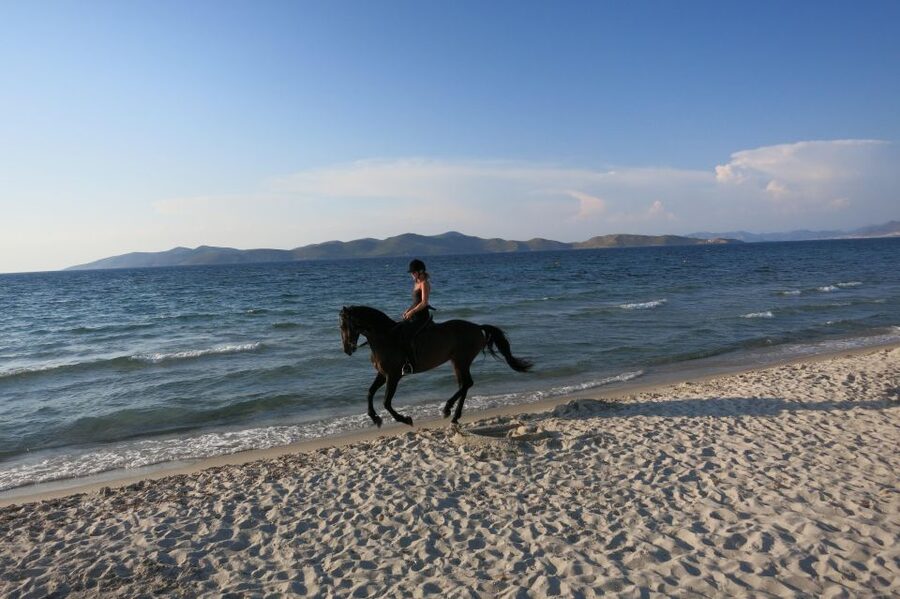 Kos: Horse Riding Experience on the Beach with Instructor - Final Verdict: A Gentle Way to See Kos