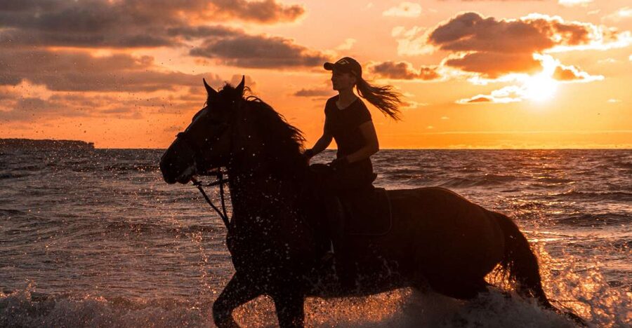 Kos: Horse Riding Experience on the Beach with Instructor - What the 45-Minute Horse Ride Includes