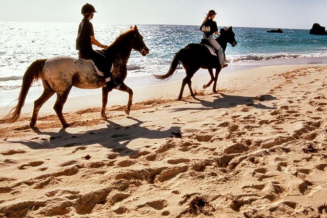 Krabi Horse Riding at Ao Nam Mao Beach - Key points to know before you ride