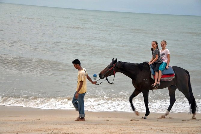 Krabi Horse Riding at Ao Nam Mao Beach - Is $45.96 a fair price?