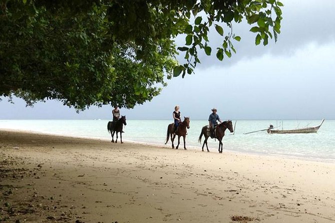 Krabi Horse Riding at The Beach - From forest and village roads to the beach