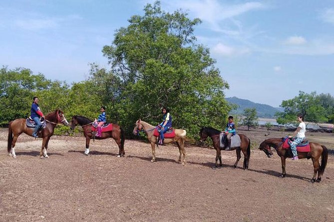 Krabi Horse Riding at The Beach - Is the $44.90 price good value?