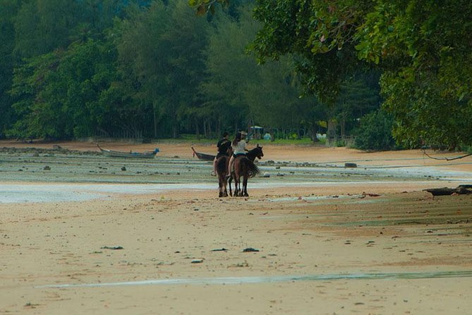 Krabi Horse Riding at The Beach - Who should book this experience?