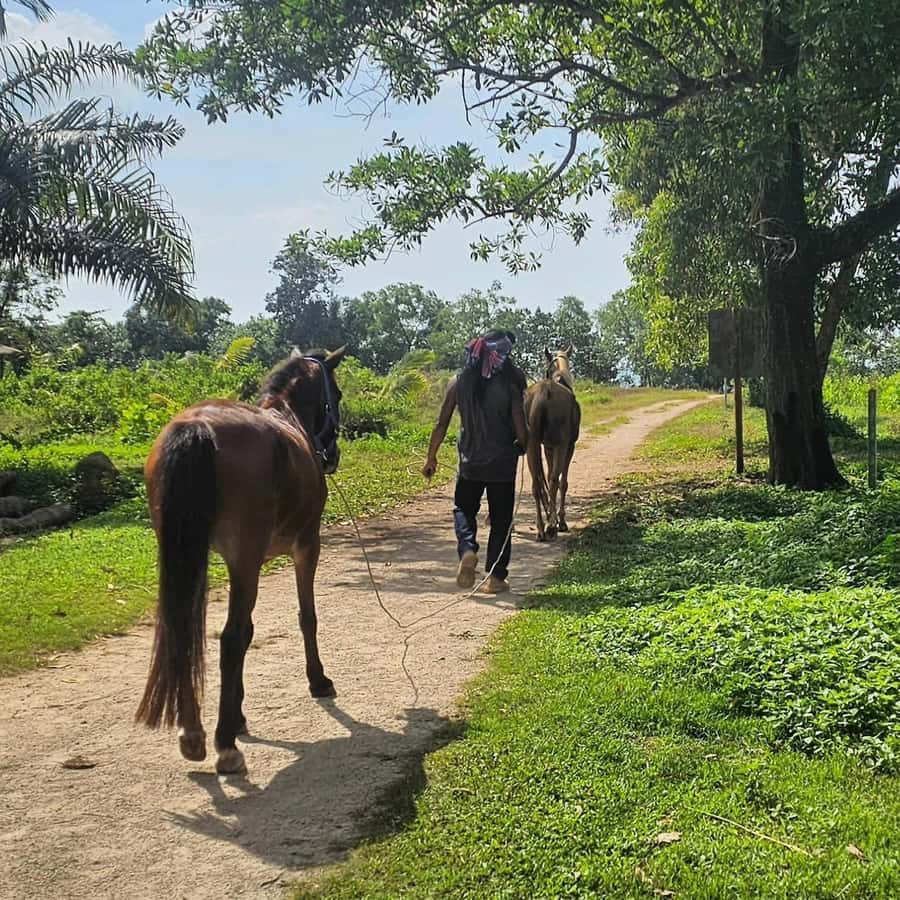 Krabi Horse Riding on the Beach and atv Extreme - The ATV route near Ao Nang