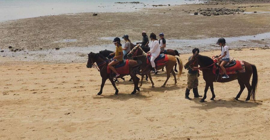Krabi: Horseback Riding on the Beach - Ban Laem Pho and the 25-million-year-old shell platform