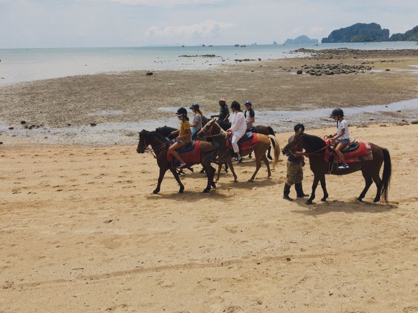 Krabi: Horseback Riding on the Beach - Through villages, plantations, and the forest