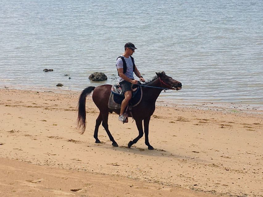 Krabi: Horseback Riding on the Beach - What the $62 price includes