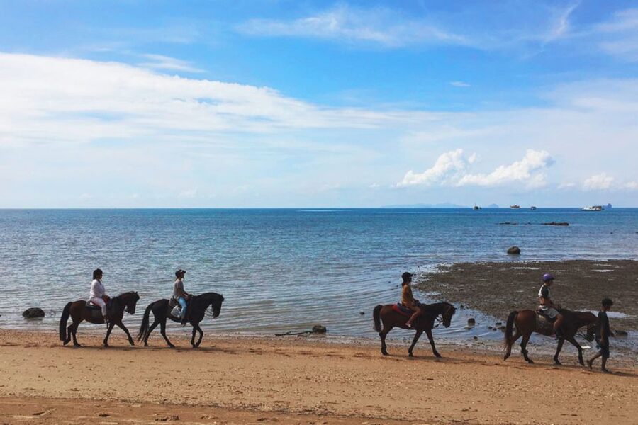 Krabi: Horseback Riding on the Beach - Practical details for a smoother ride