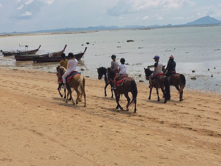 Krabi: Horseback Riding on the Beach - Ban Ao Nam Mao beach and the changing shoreline