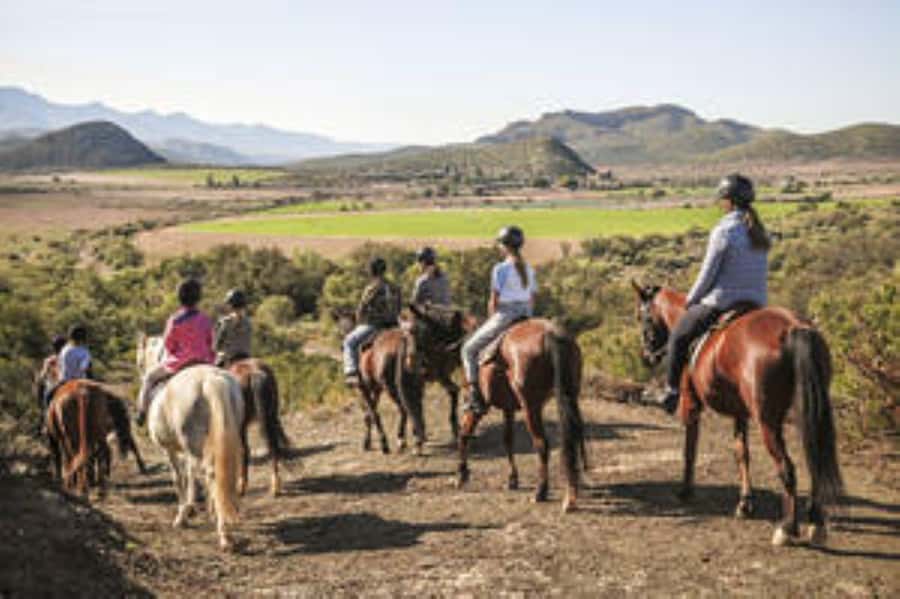 Kudu Trail Horse Riding Experience - What makes the Kudu Trail worth your time
