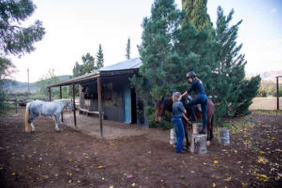 Kudu Trail Horse Riding Experience - Choosing your horse and getting ready