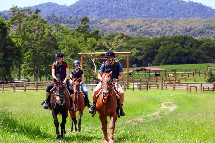 Kuranda: 60 minute Guided Horse Trail Ride & Petting Farm - Key points to know before booking