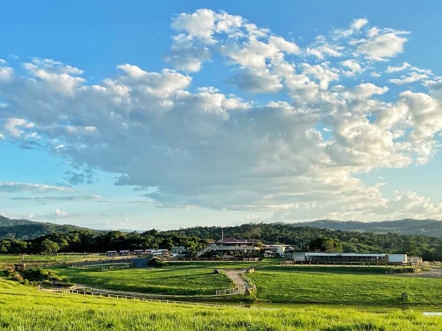 Kuranda: 60 minute Guided Horse Trail Ride & Petting Farm - Meeting your horse and beginning the 60-minute ride