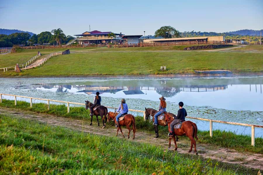 Kuranda: 60 minute Guided Horse Trail Ride & Petting Farm - Arriving at 9:50am at 112 Barnwell Road