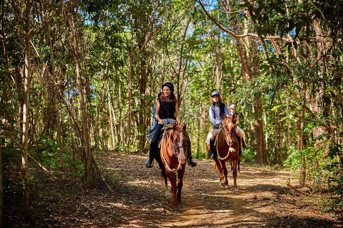 Kuranda 60 minute Horse Trail Ride and Petting Farm - Key points at a glance