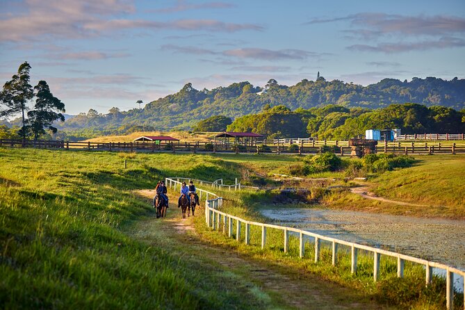 Kuranda 60 minute Horse Trail Ride and Petting Farm - A farm ride in the hills near Kuranda