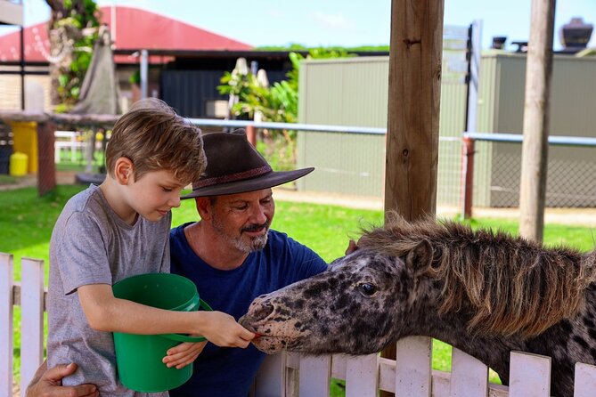 Kuranda 60 minute Horse Trail Ride and Petting Farm - The petting farm after the saddle