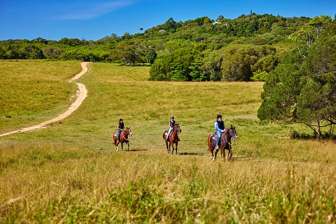 Kuranda 60 minute Horse Trail Ride and Petting Farm - What the $128.39 price gets you