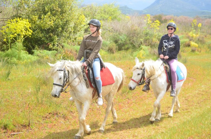Kusadasi: Beach and Forest Horse Riding Tour - Key points to know before you book
