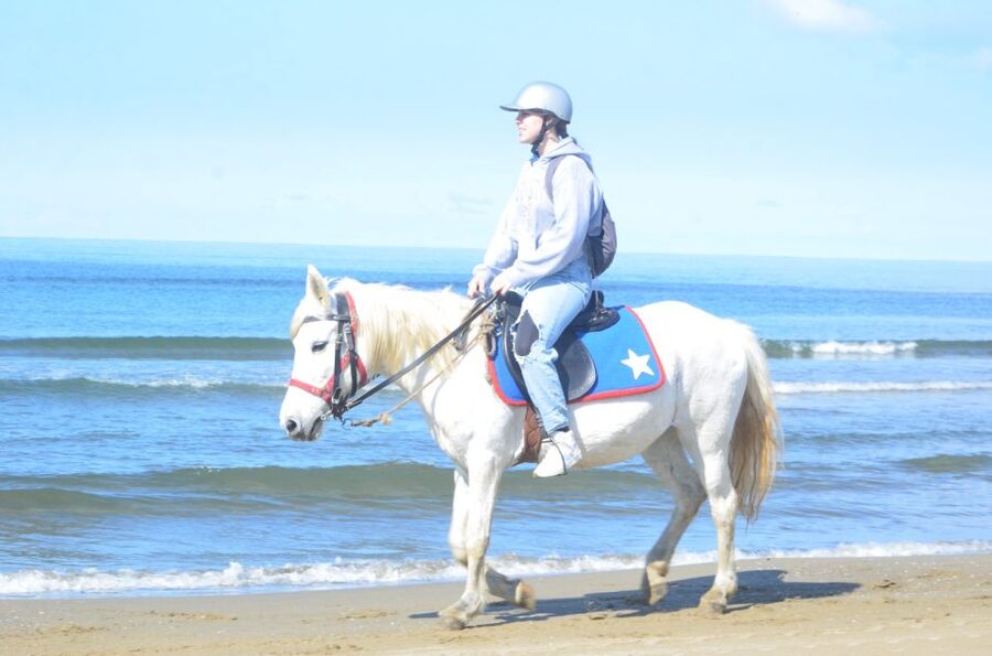 Kusadasi: Beach and Forest Horse Riding Tour - Practical Tips for a More Comfortable Ride