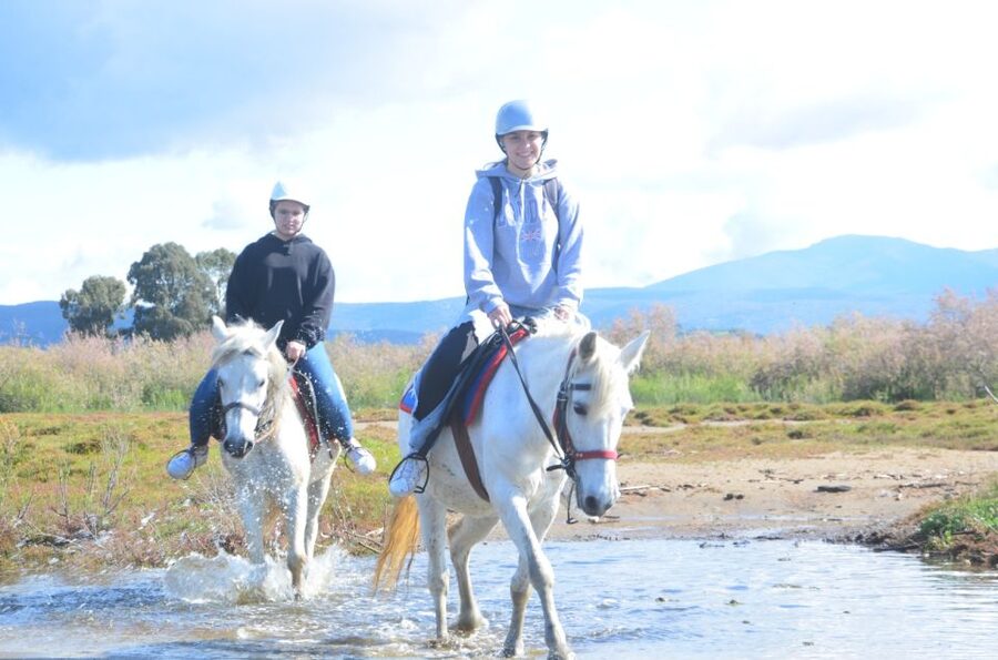 Kusadasi: Beach and Forest Horse Riding Tour - Choosing a Horse and Getting Comfortable