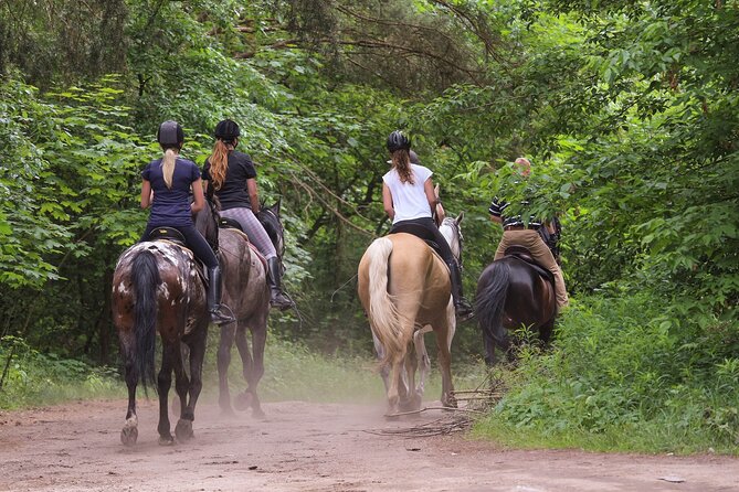 Kusadasi Horse Riding Beach and Forest options with Transfer - Key points to know before you ride