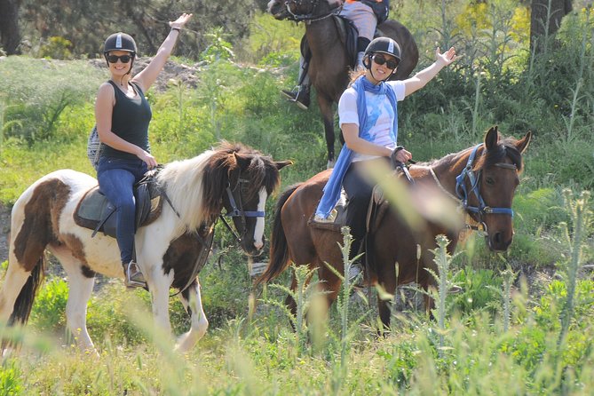 Kusadasi Horse Riding Beach and Forest options with Transfer - What experienced riders can expect