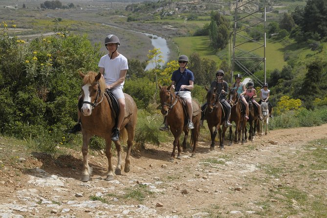Kusadasi Horse Riding Beach and Forest options with Transfer - Horses, ranch atmosphere, and extra photos
