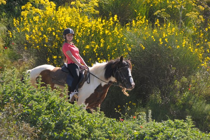 Kusadasi Horse Riding Beach and Forest options with Transfer - Is $66.08 a fair price?