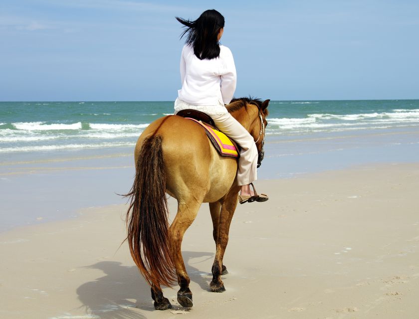Kusadasi: Horse Riding Beach and Forest w/Transfer - Meeting the horses and getting ready