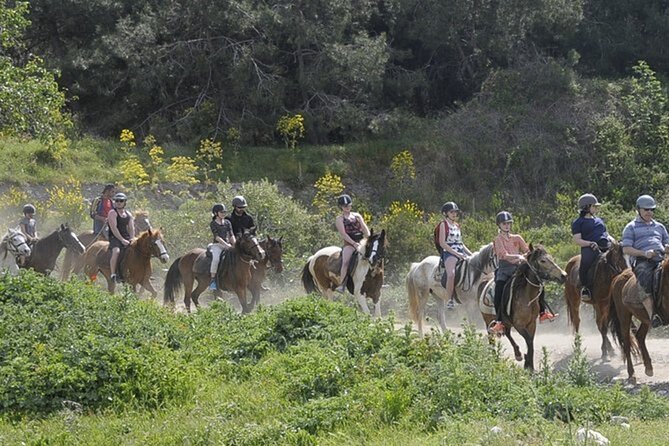 Kusadasi Horse Riding On Beach And Through The River - Reaching Pamucak Beach by horseback