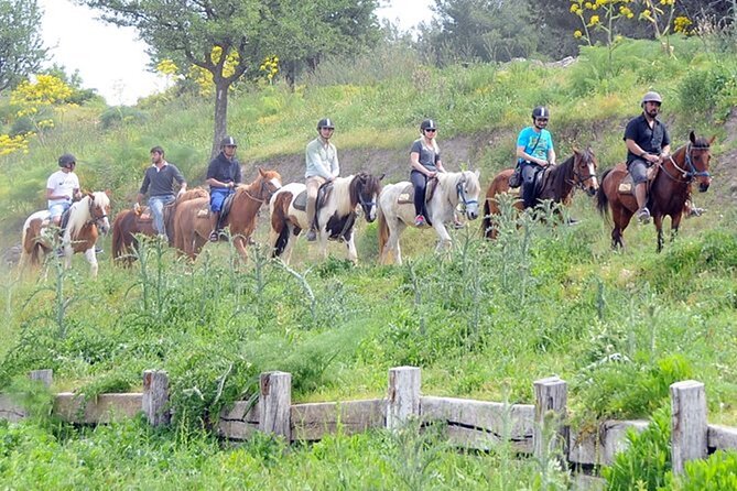 Kusadasi Horse Riding On Beach And Through The River - Returning to the ranch and Kusadasi